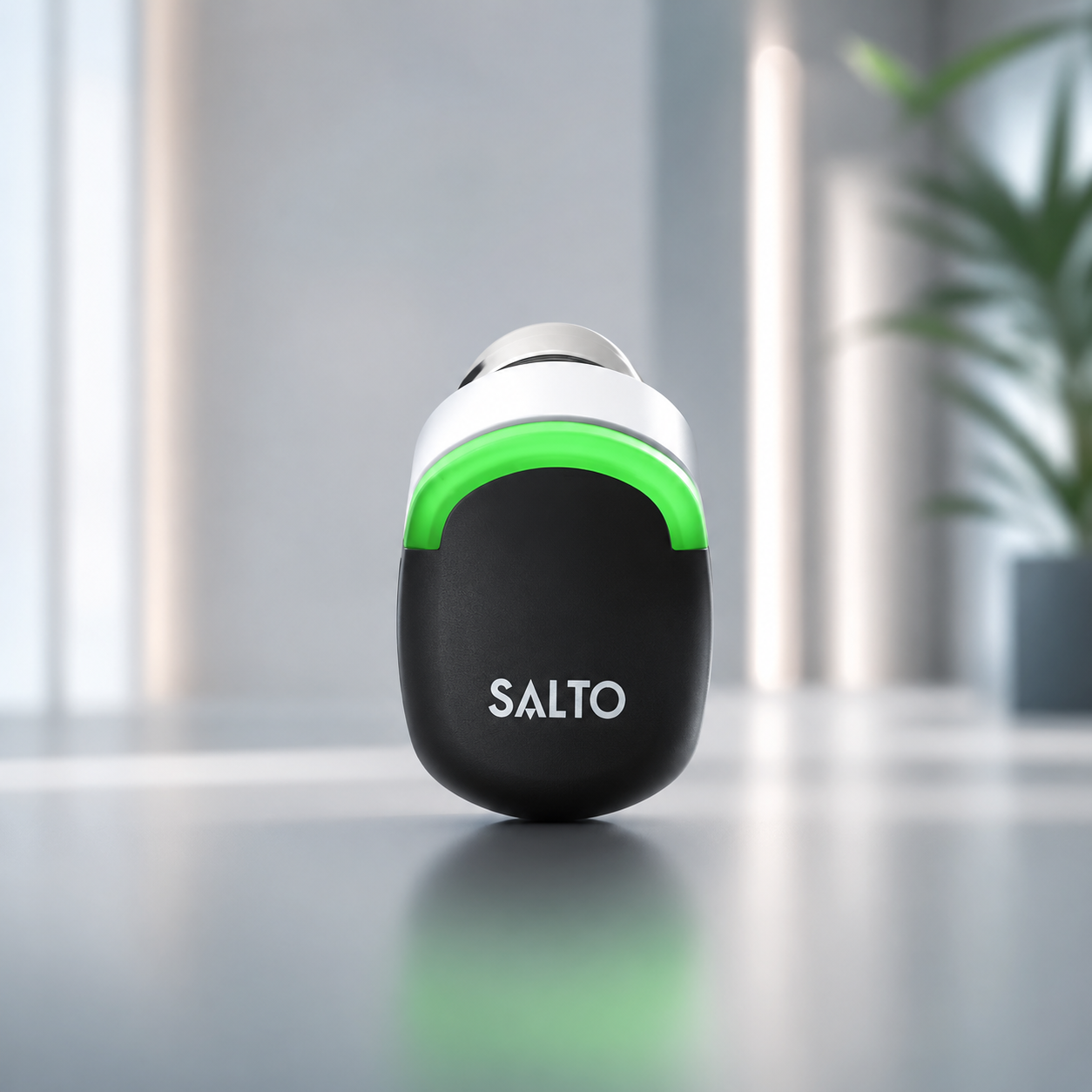 salto1